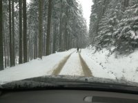 Bringtreueprüfung in Mürzzuschlag